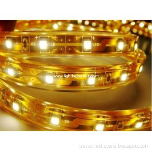 High brightness SMD5050 Led Strip with 30leds/m
